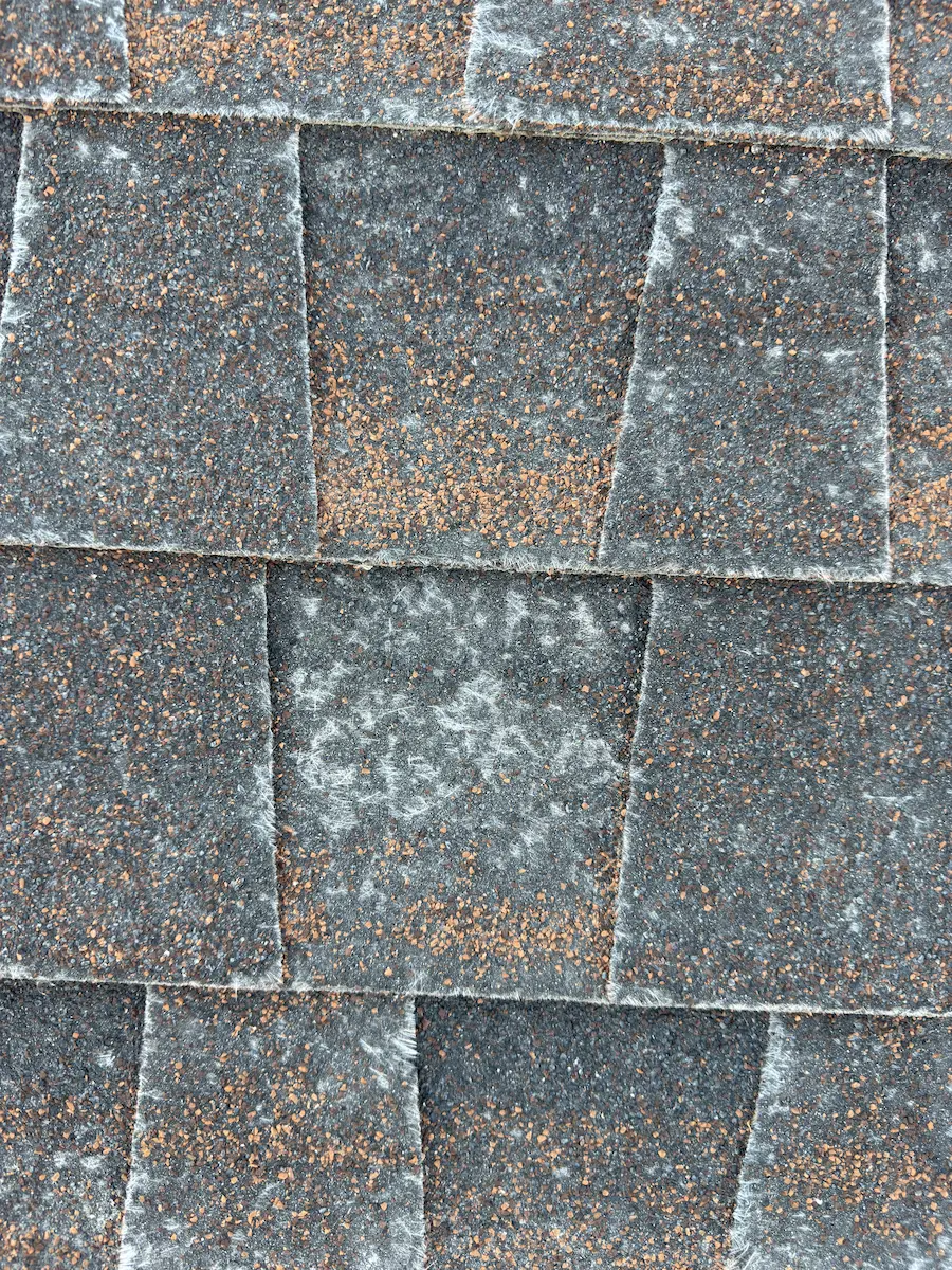 Heavy granule loss on a Utah roof showing exposed asphalt and oxidation